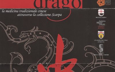 2008 – Il soffio del drago –  Castello d’Albertis (Genova)